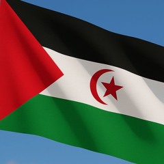 Western Sahara - Tariq