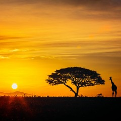 Africa Sunrise