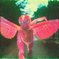 66zoolane