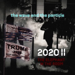 2020II: The Elephant In The Room