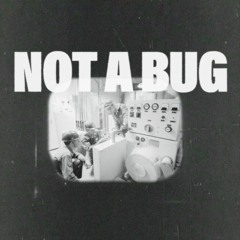Not A Bug