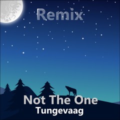 Tungevaag - NotThe One (Dalights Remix)