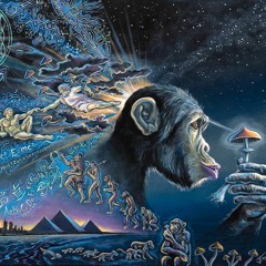 Stoned Ape Theory | 148 - 151 BPM