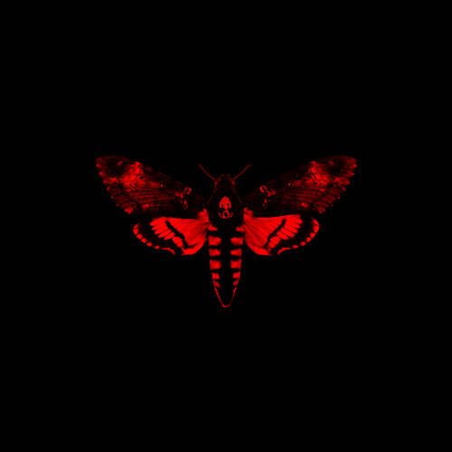 Stream Lil Wayne - Love Me (Album Version (Edited)) [feat. Drake & Future]  by Lil Wayne | Listen online for free on SoundCloud