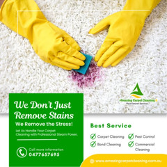 We Don’t Just Remove Stains – We Remove the Stress