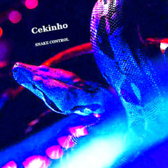 Cekinho - Snake Control C2