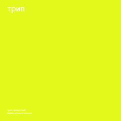 grasshopper´s opinion