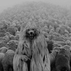 ITWASTOOGOODTOBETRUE (the wolf in sheeps skin) [PROD. JC]