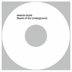 Skank Of The Underground  (Girls aloud - sound of the underground -Selecta Bizzle Bootleg)