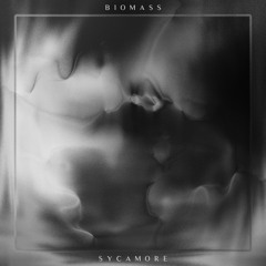 Biomass - Sycamore (Out Now on Synaesthetics)