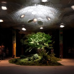The Low Line - Concept Live Set