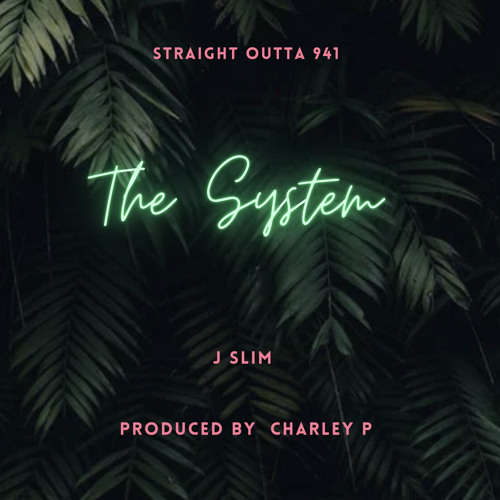 The System (Produced By Charley P)