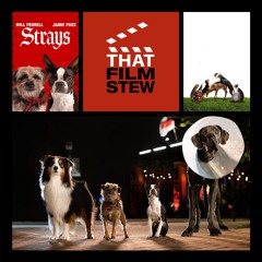 That Film Stew Ep 435 - Strays (Review)