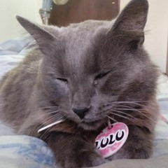 Lulu Ta Dormida