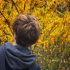 Halfway 'Til Morning