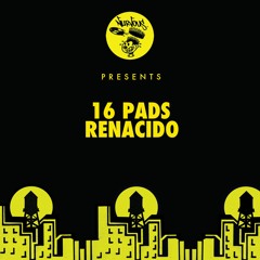 16 Pads - Renacido