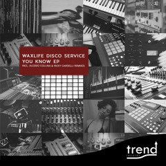 PREMIERE: Waxlife Disco Service - You Know (Alessio Collina Filtered Dub Mix)