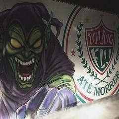 Torcida Young Flu 🇭🇺 - DJ Adriano VQQ