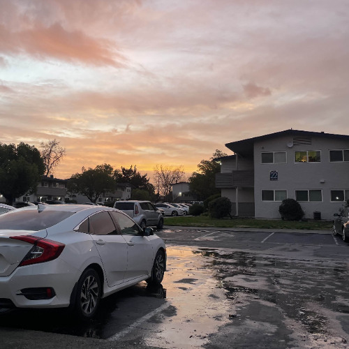 pissed at my brain (syreeni)