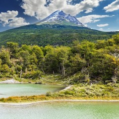 COSMIC DREAM CLUB - Tierra del Fuego