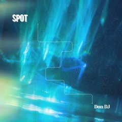 Spot (prod. kxxdo)