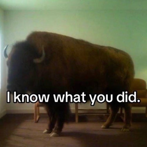 subtle senses - copperplate