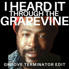 I Heard It Through The Grapevine (GROOVE TERMINATOR EDIT)