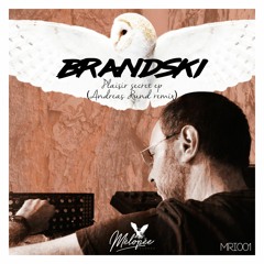 PREMIERE: Brandski - Plaisir Secret (Andreas Rund Remix) [Mélopée Records]