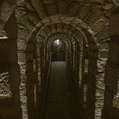 Under The Surface #48