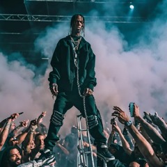 TRAVIS CACTUS