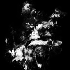 cayszn - RI [@cl0udyradio exclusive]