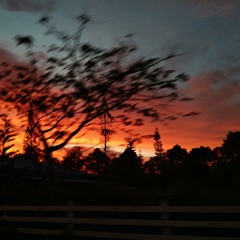 Summer Breeze - Precious Jobli (Original/draft)