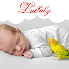 Lullaby for Baby to go to Sleep | Music for Babies | Baby Lullaby Songs go to Sleep Fast
