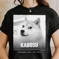 Rip Kabosu Inspired Countless Doge Memes Has Died Aged 18 Shirt