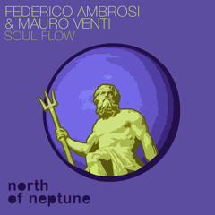 Federico Ambrosi & Mauro Venti - Soul Flow