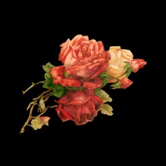 I was the one (prod. nextlane)