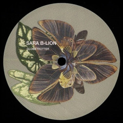 Sara B-Lion - Globetrotter