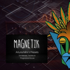 Magnetik-Mini V Presets for Melodic Techno & Progressive House