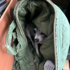 A Dolla And Some Change