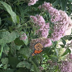 keep the car running arcade fire cover