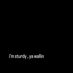 I'm Sturdy, Ya Wallin (feat. Obannks)