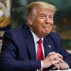 Obese Turtle (Election Day 2020)