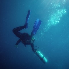 Solos of the Sea - Solo Violin B