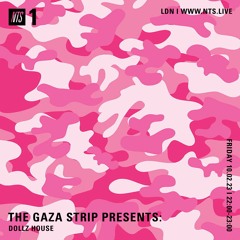 The Gaza Strip 100223