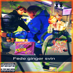 FED GINGER SVIN