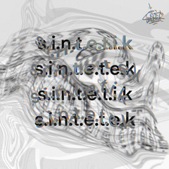 S.I.N.T.E.T.I.K.