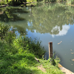 lost on crystal lake - Part VI