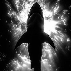 DARK SHARK 003
