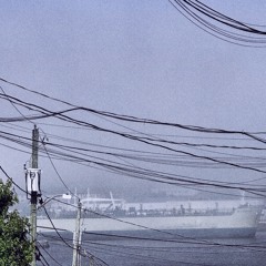 Whispers over Western Shores