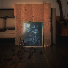 Cat in the box